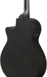 Ibanez AEG621-BOT