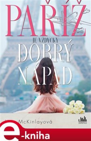 Paříž je vždycky dobrý nápad - Jenn McKinlay e-kniha
