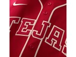 Nike Pánský dres Texas Rangers MLB 2026 City Connect Stadium Velikost: S