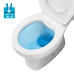 Mereo WC kombi, RIMLESS, spodní odpad s armaturou VSD98