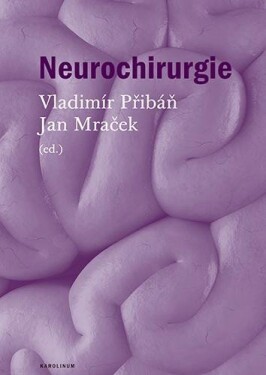 Neurochirurgie