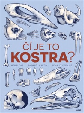 Čí je to kostra?