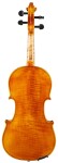 Violin Schönbach Golden