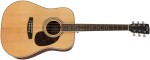 Cort Earth 70E W NS