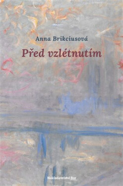 Před vzlétnutím - Anna Brikciusová