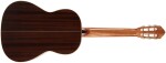 Ortega R19G