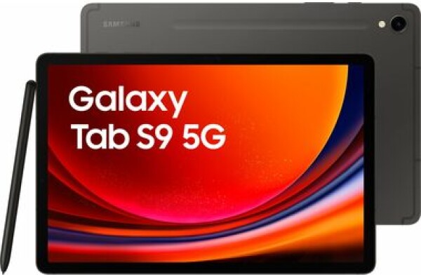 Samsung Galaxy Tab S9 5G SM-X716BZAAEUE