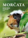 Morčata