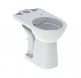 GEBERIT - Selnova Comfort WC kombi mísa, zadní odpad, Rimfree, bílá 500.486.01.7