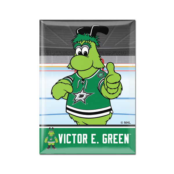 Wincraft Magnet Dallas Stars NHL Metal Magnet MASCOT
