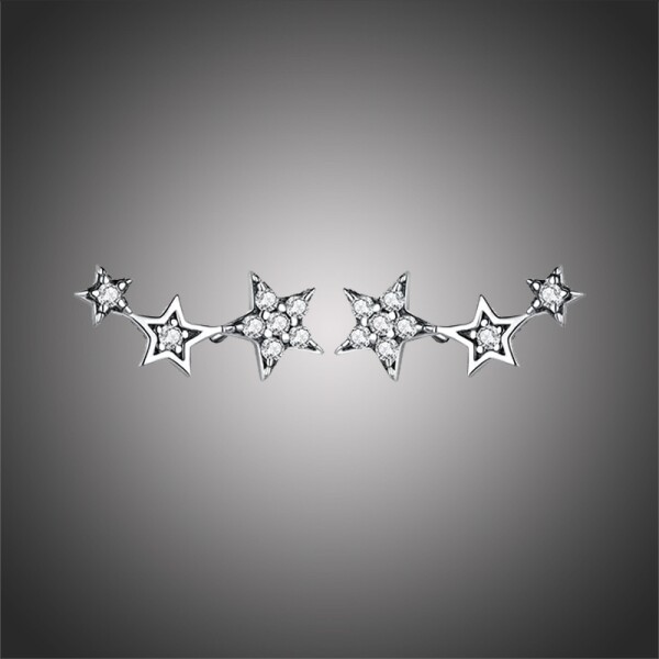 Stříbrné náušnice se zirkony Alesa Silver, stříbro 925/1000, hvězdy, Stříbrná