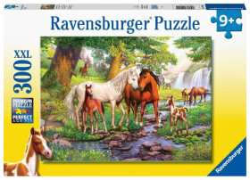Puzzle Koně u řeky/300 dílků