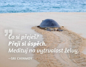 Magnet na lednici Medituj na Úspěch