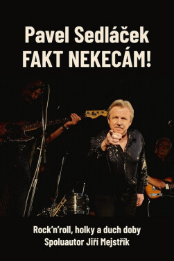 Fakt nekecám! - Rock’n’roll, holky a duch doby - Pavel Sedláček