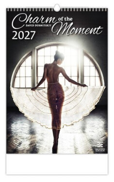 Kalendář nástěnný 2027 - Charm of the Moment
