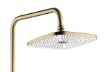 REA - Sprchový set STORM GOLD BRUSH REA-P9536