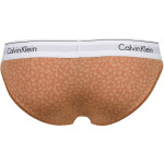 Dámské kalhotky F3787E 796 hnědá/vzor - Calvin Klein hnědá/vzor S