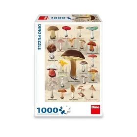 Dino Puzzle Houby koláž