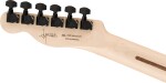 Fender Jim Root Telecaster EB SGD