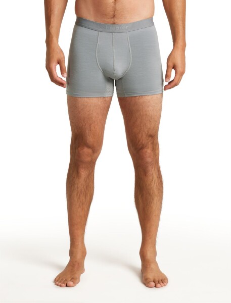 Pánské merino boxerky ICEBREAKER Mens 125 ZoneKnit Boxers, Alloy velikost: S