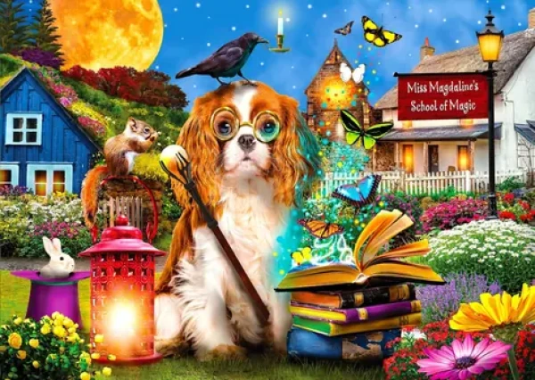 ENJOY Puzzle Škola kouzel
