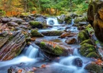 ENJOY Puzzle Lesní říčka na podzim