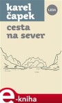 Cesta na sever