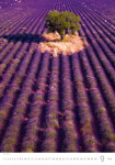 Nástěnný kalendář 2026 Helma - Provence