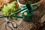 HAWS Konvička s kropítkem Rowley Ripple Green – 1 l, zelená barva, kov