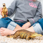 Safari Ltd. Safari Ltd. Figurka - Sarcosuchus