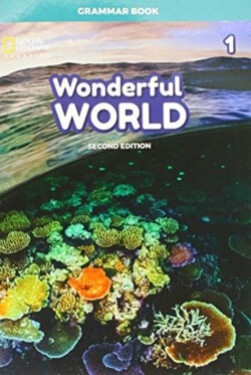 Wonderful World Second edition 1 Flash Cards - AA.VV