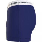 Pánské boxerky 3P TRUNK PRINT UM0UM02768 0W2 modré Tommy Hilfiger