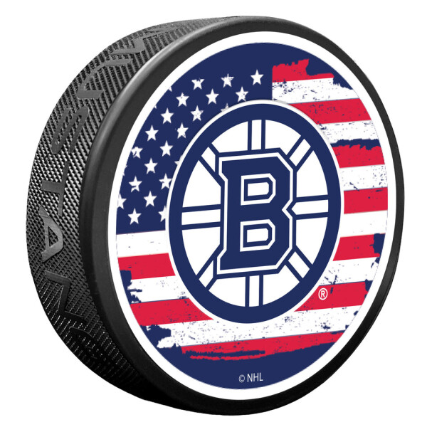 Mustang Puk Boston Bruins NHL Patriot