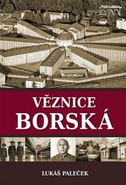 Věznice borská