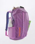 Batoh Patagonia Black Hole Pack 25L Brisk Purple