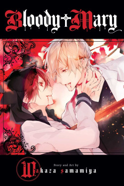 Bloody Mary, Vol. 10 - Akaza Samamiya