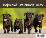 Stolní kalendář 2025 MiniMax Pejskové