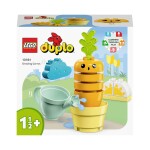 LEGO Duplo LEGO Duplo