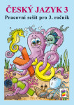 Český jazyk pracovní sešit