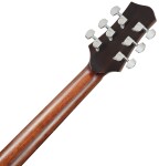 Ibanez PA300E Natural