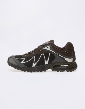 Salomon XT-Whisper Void GTX Delicioso / Asphalt 38 2/3