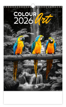 Nástěnný kalendář 2026 Helma - Colour Art, 31,5 x 45 cm