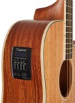 Tanglewood TUN 5 CE