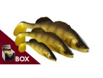 Westin Gumová nástraha ZanderTeez Shadtail Fire Perch 1ks - 17cm 56g,Westin Gumová nástraha ZanderTeez Shadtail Fire Perch 1ks - 17cm 56g