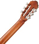 Cort AC-100 OP