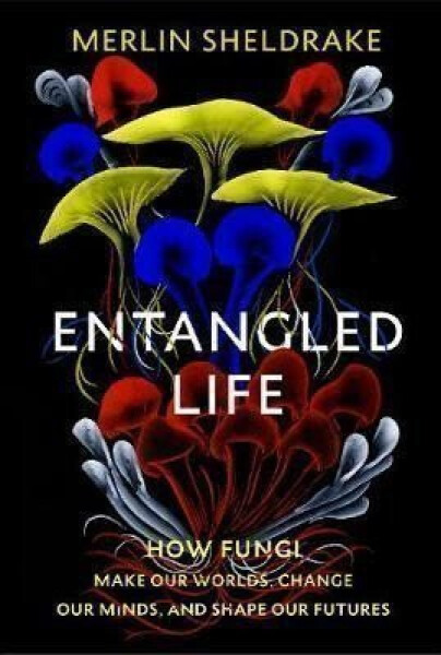 Entangled Life : How Fungi Make Our Worlds, Change Our Minds and Shape Our Futures - Merlin Sheldrake