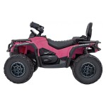 Mamido Dětská elektrická čtyřkolka Can-Am Outlander ATV 4x45W růžová