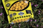 Mivardi Boilies Rapid Easy Catch Ananas + N.BA. 3,3kg 20mm (M-RABOEAANB3320)