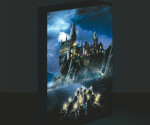 Obraz LED svítící 30x40, Harry potter Bradavice