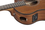 Ibanez AAM54CE Natural (rozbalené)